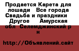 Продается Карета для лошади - Все города Свадьба и праздники » Другое   . Амурская обл.,Селемджинский р-н